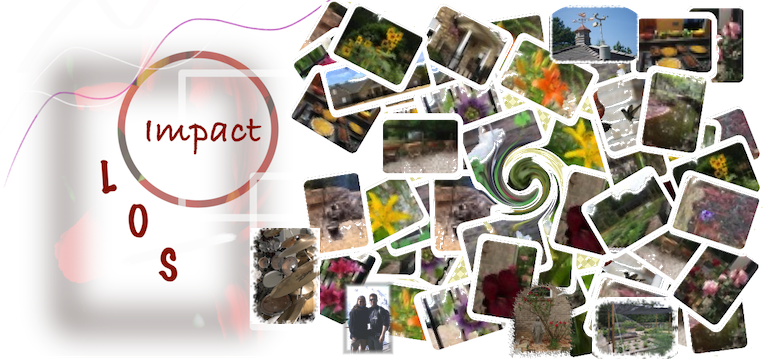 LOS
                                    Impact